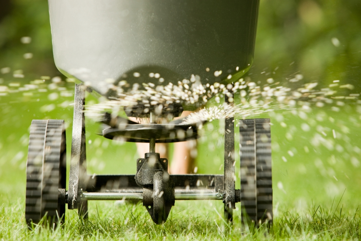 Graszaad Direct Tuins Winkel -Graszaad Direct Tuins Winkel gazon meststof