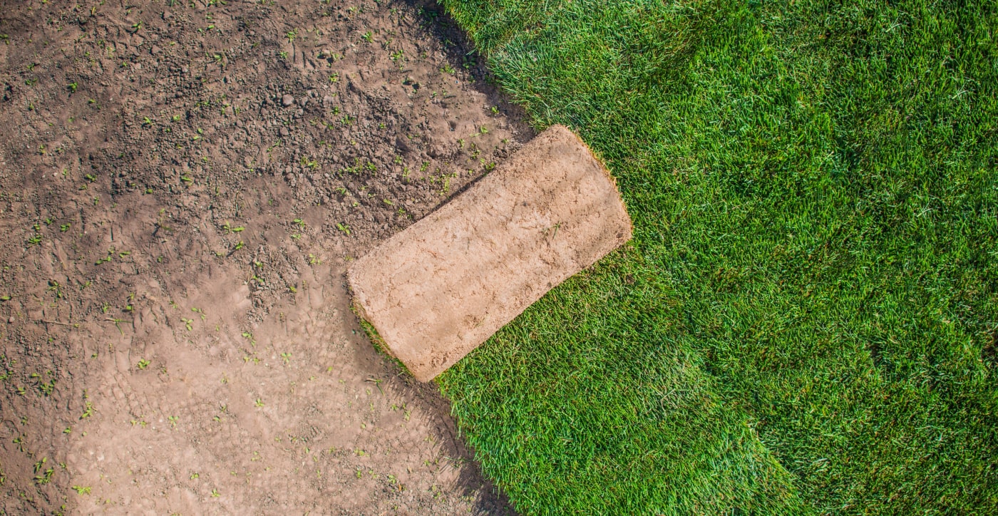 Graszaad Direct Tuins Winkel -Graszaad Direct Tuins Winkel