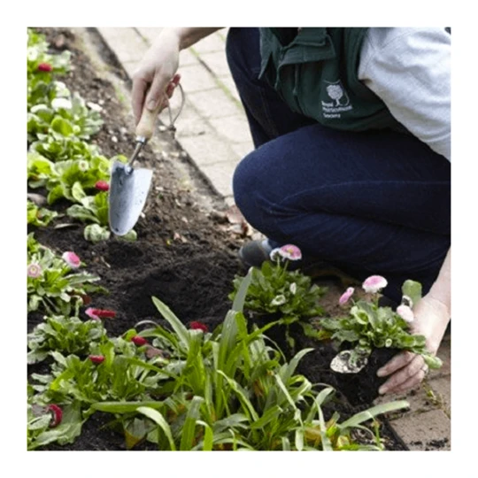 Burgon & Ball RHS Plantschopje Met Maatvoering (inch) 4 Burgon & Ball RHS Plantschopje Met Maatvoering (inch) - Afbeelding 2