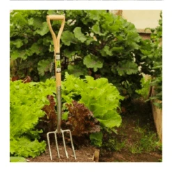 Graszaad Direct Tuins Winkel 31 Graszaad Direct Tuins Winkel -Graszaad Direct Tuins Winkel image 173