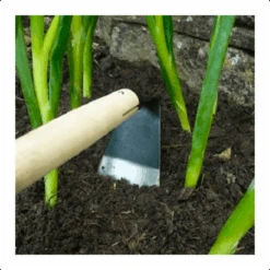 Graszaad Direct Tuins Winkel 22 Graszaad Direct Tuins Winkel -Graszaad Direct Tuins Winkel image 179