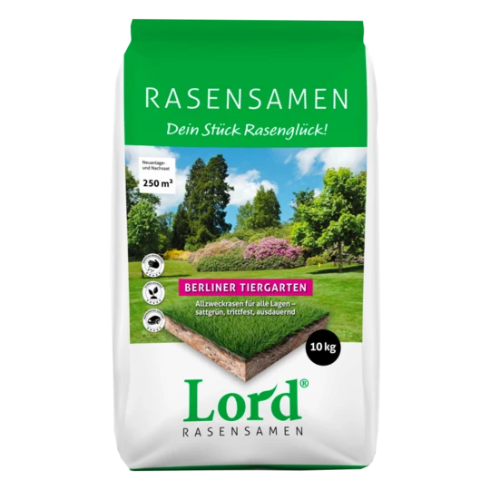 Lord Allround Siergazon 3 Lord Allround Siergazon